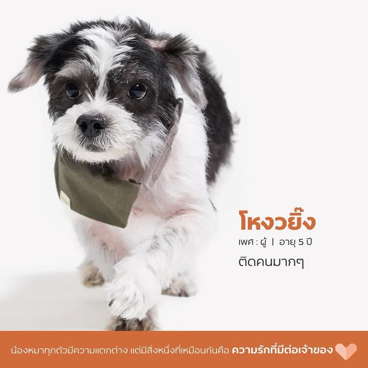 เก๋ - ชลลดา เมฆราตรี