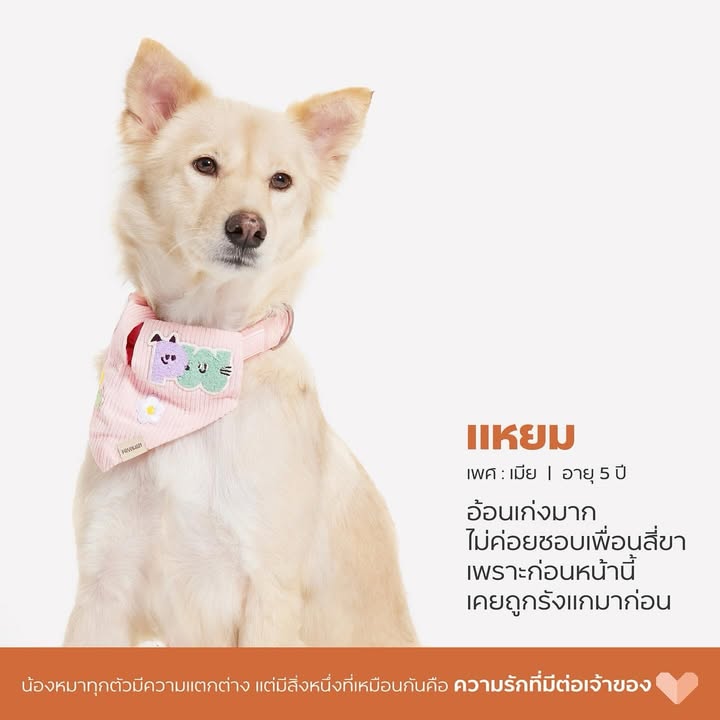 เก๋ - ชลลดา เมฆราตรี