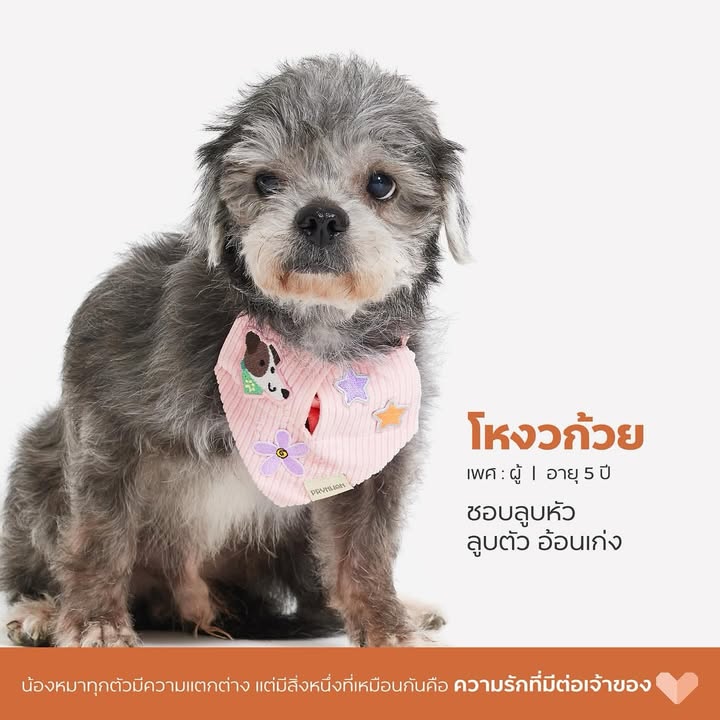 เก๋ - ชลลดา เมฆราตรี