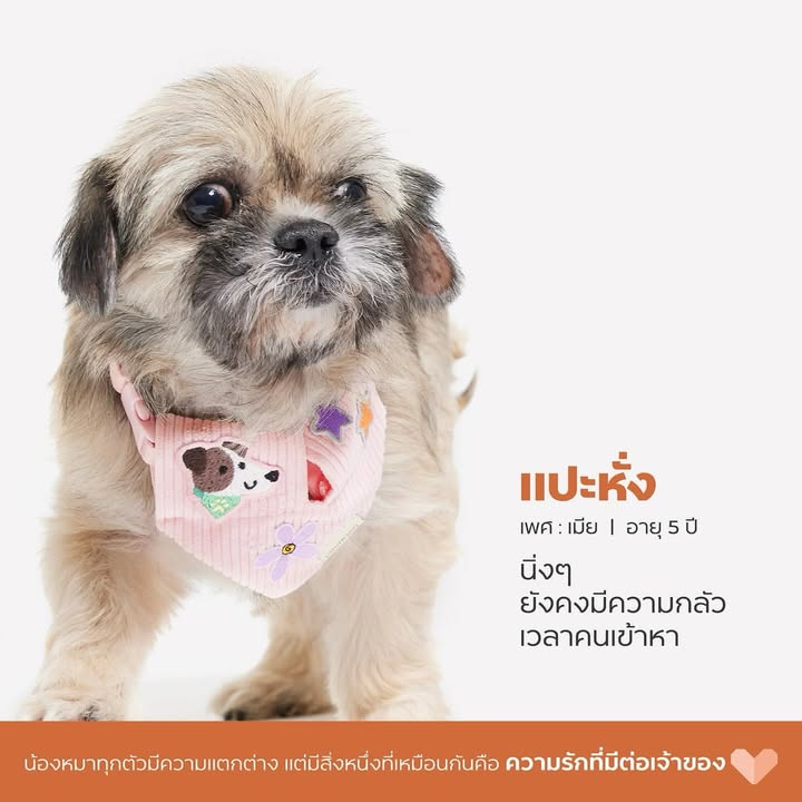เก๋ - ชลลดา เมฆราตรี