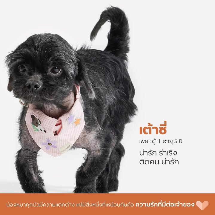 เก๋ - ชลลดา เมฆราตรี