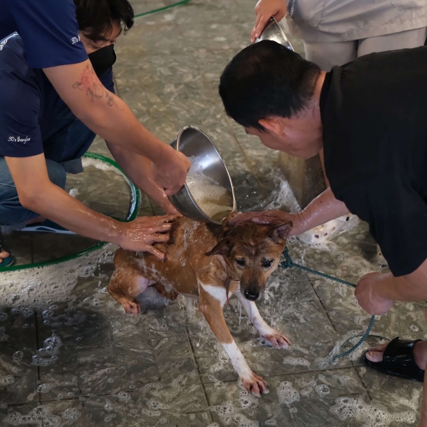 เก๋ - ชลลดา เมฆราตรี