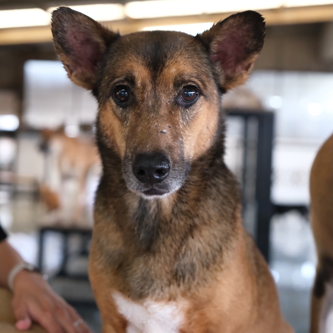 เก๋ - ชลลดา เมฆราตรี