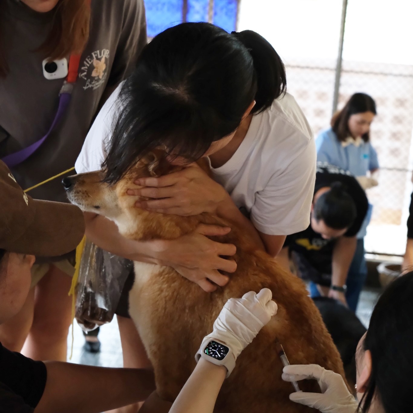 เก๋ - ชลลดา เมฆราตรี