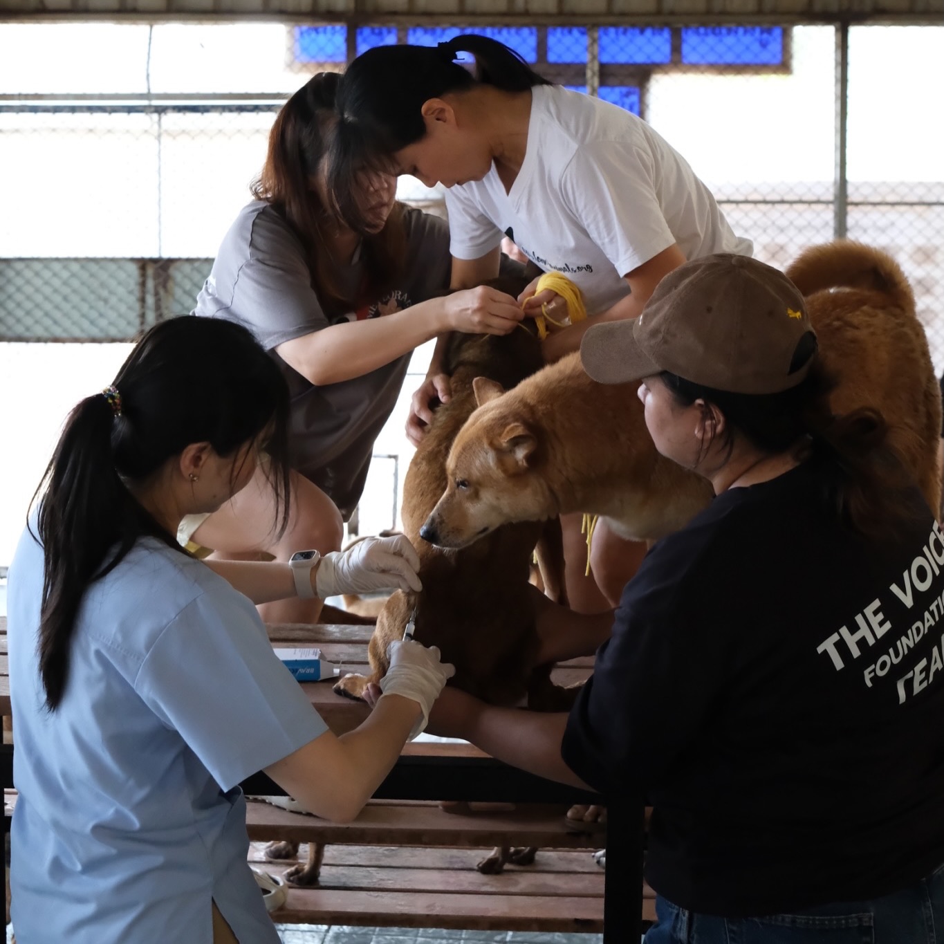 เก๋ - ชลลดา เมฆราตรี