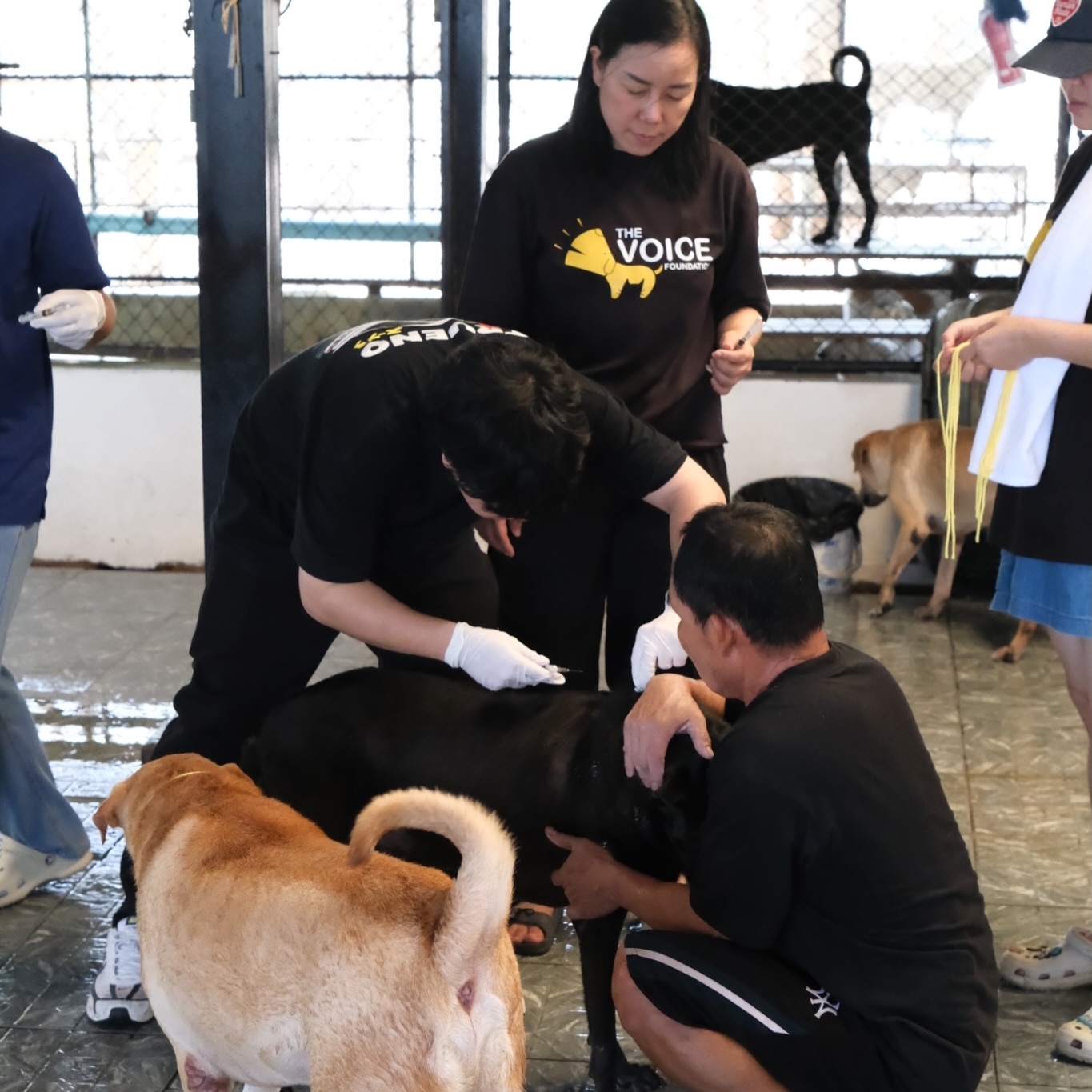 เก๋ - ชลลดา เมฆราตรี