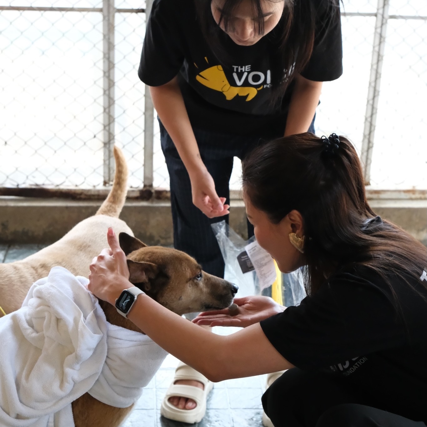 เก๋ - ชลลดา เมฆราตรี