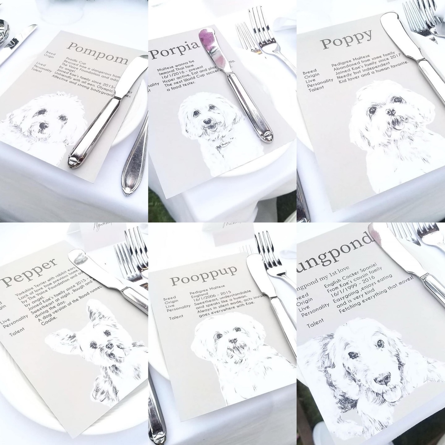 เก๋ - ชลลดา เมฆราตรี