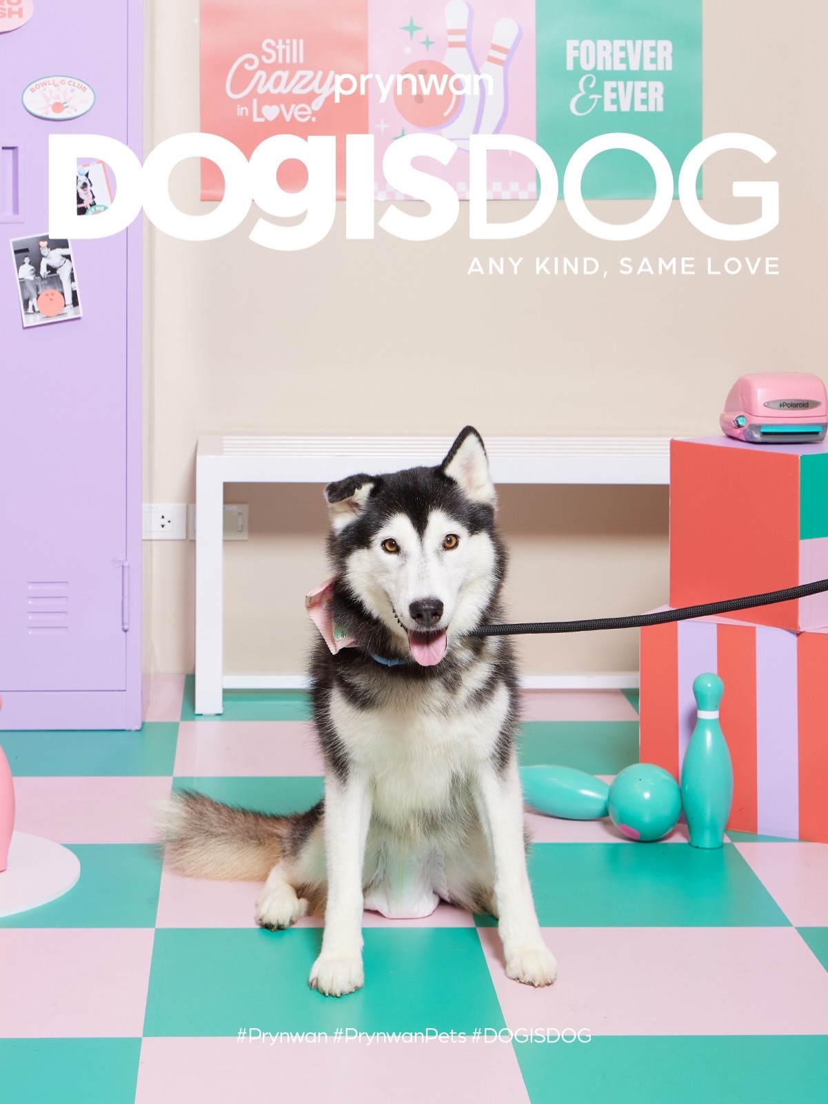 เก๋ - ชลลดา เมฆราตรี