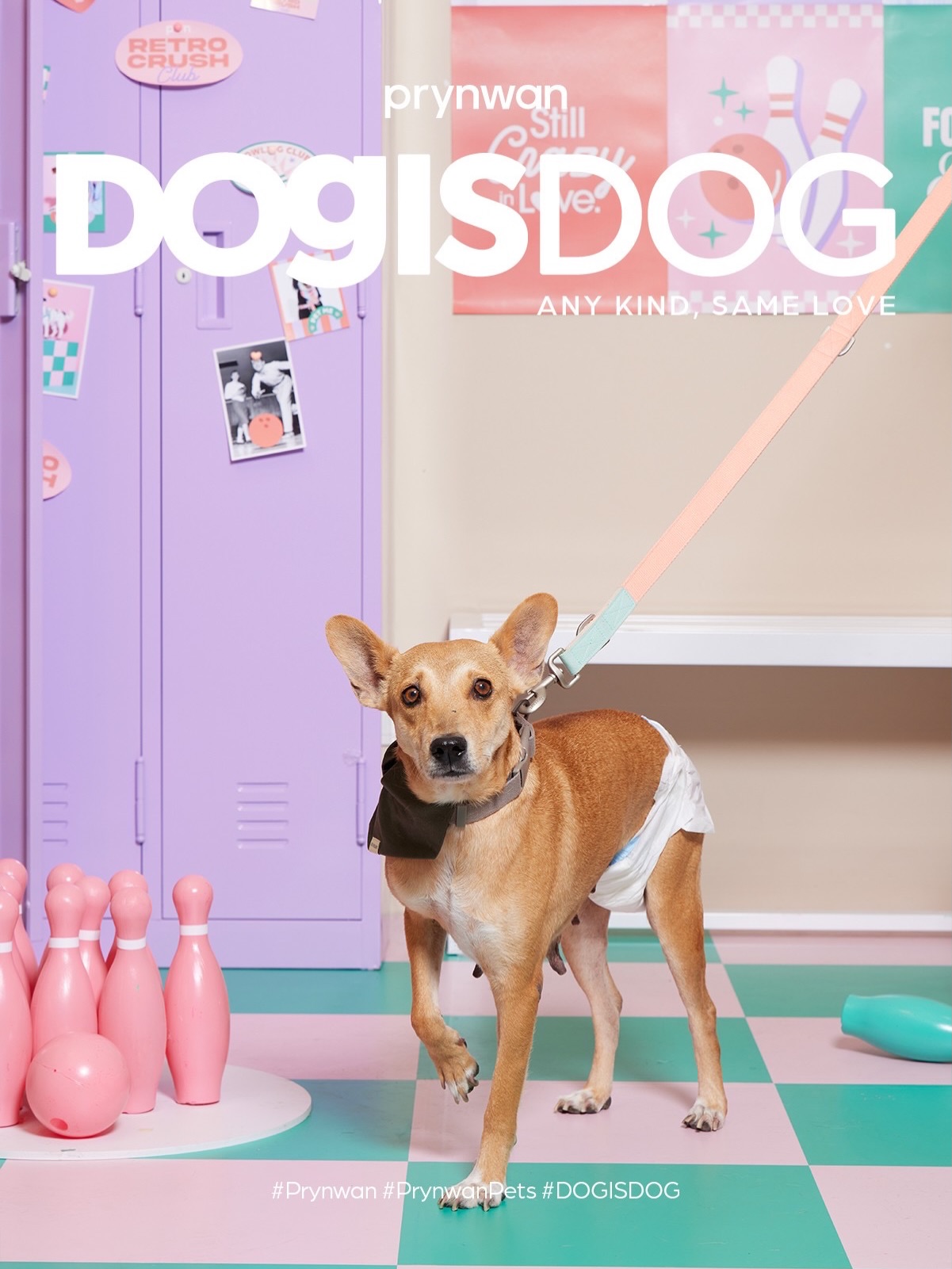 เก๋ - ชลลดา เมฆราตรี