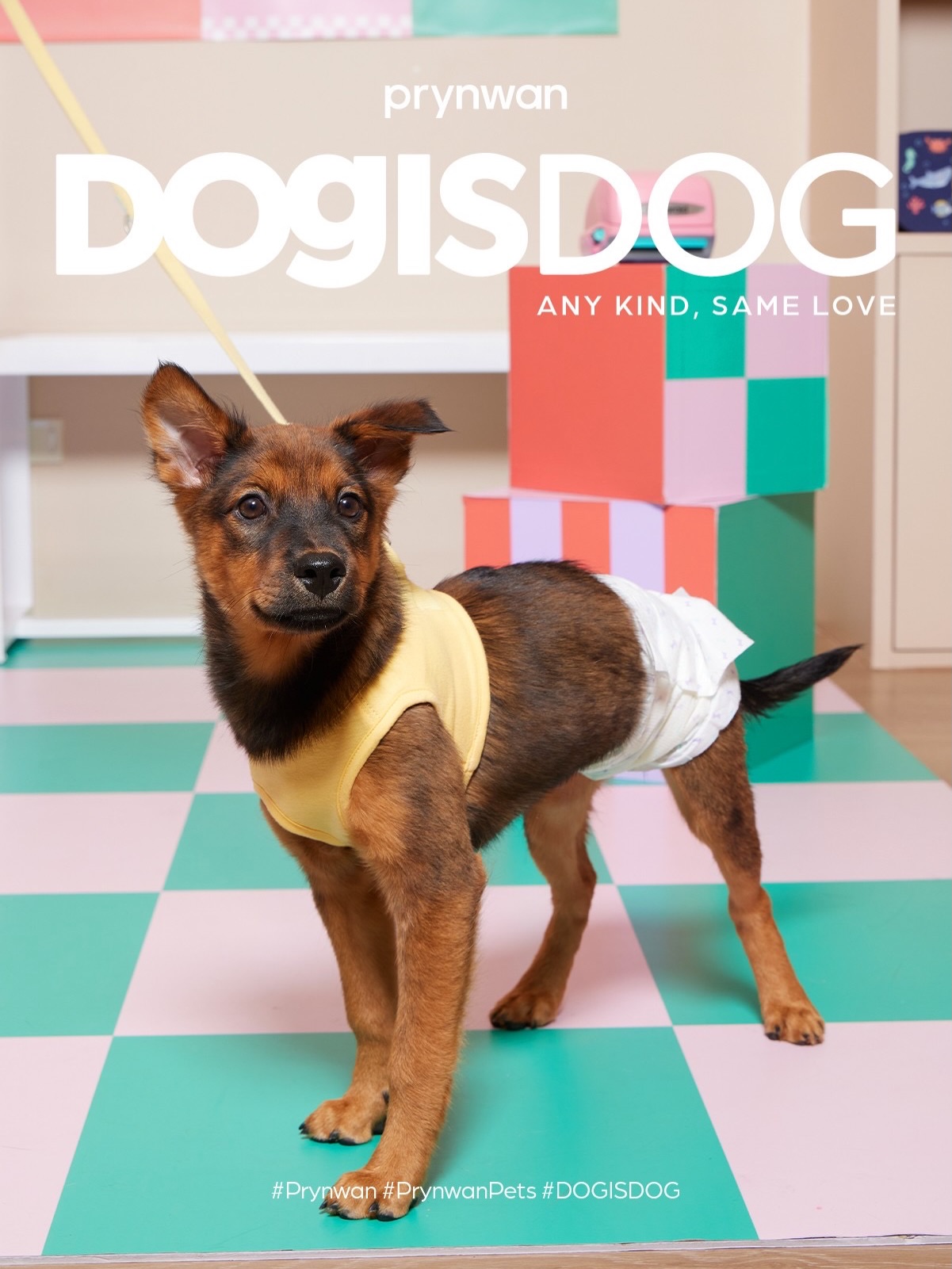 เก๋ - ชลลดา เมฆราตรี