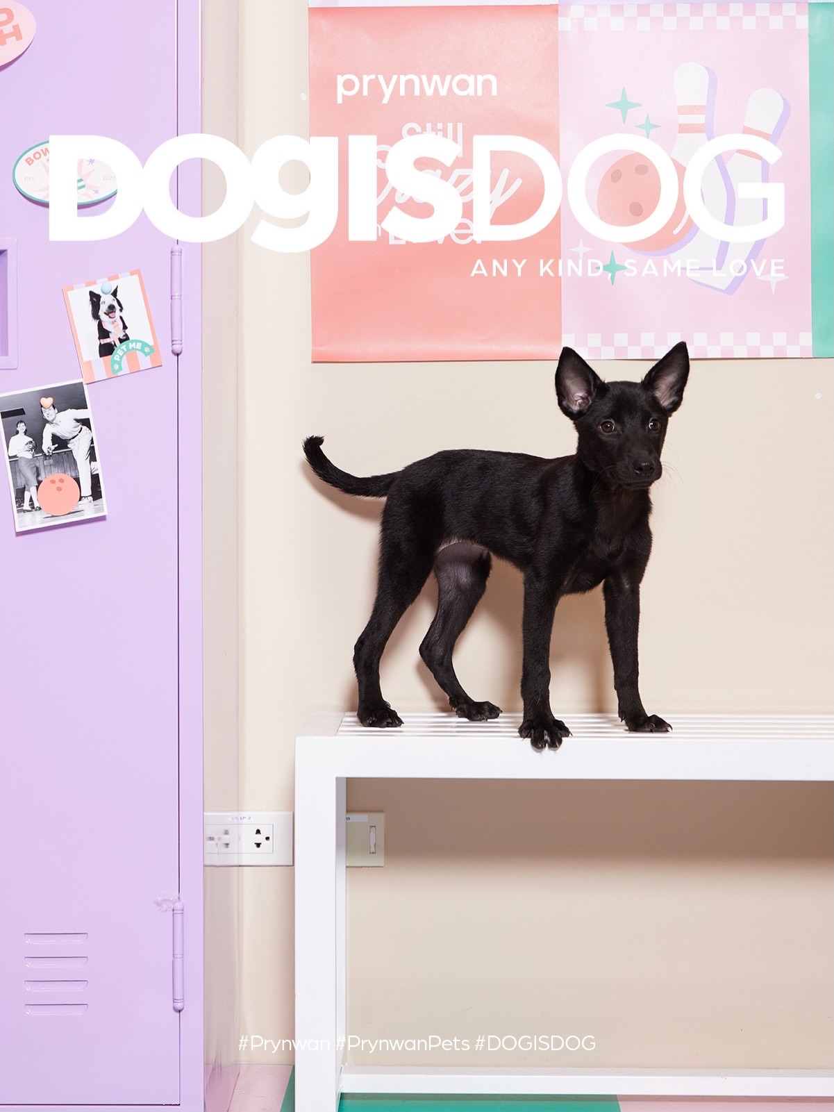 เก๋ - ชลลดา เมฆราตรี