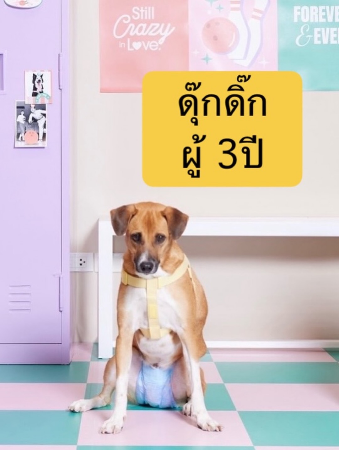 เก๋ - ชลลดา เมฆราตรี