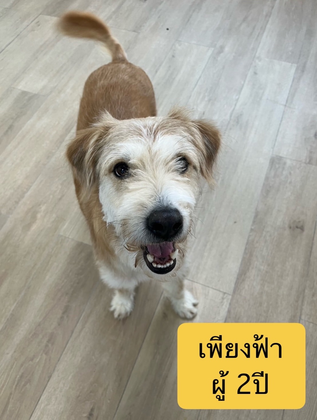 เก๋ - ชลลดา เมฆราตรี