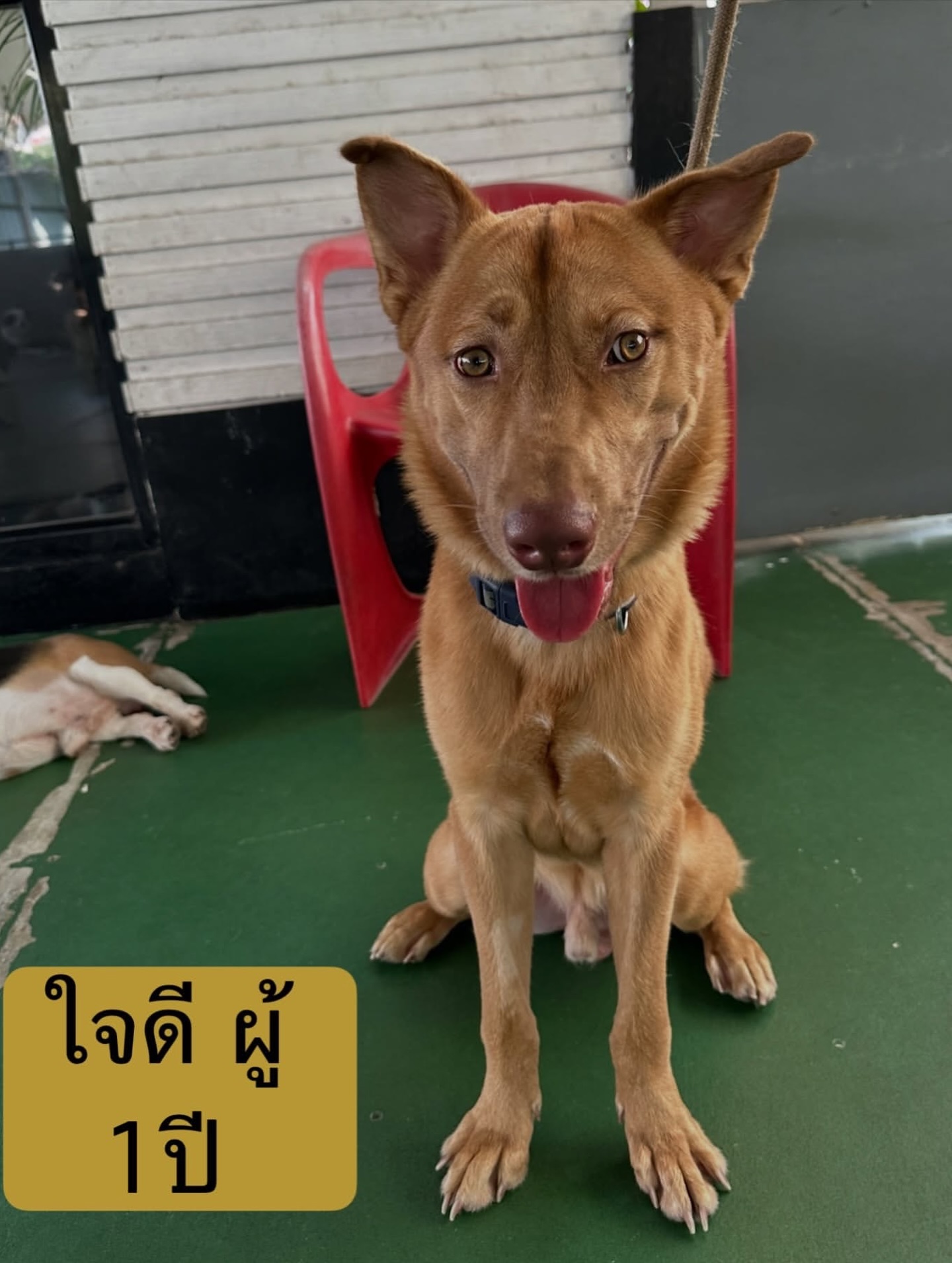 เก๋ - ชลลดา เมฆราตรี