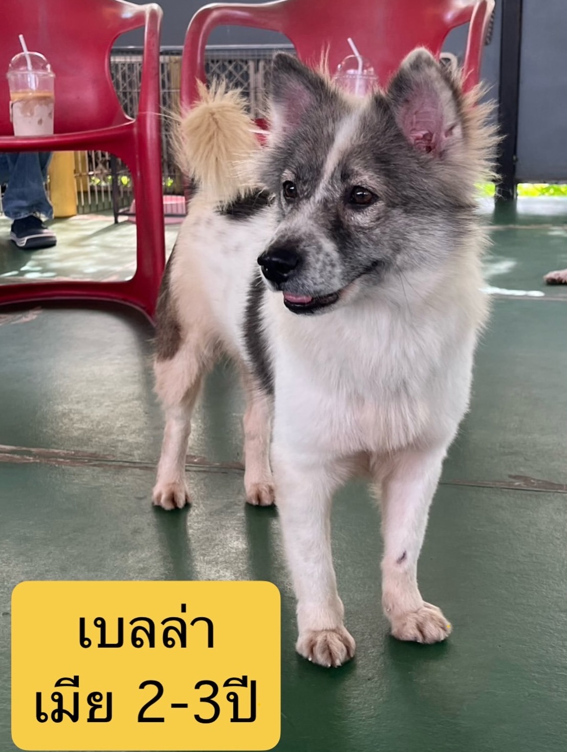 เก๋ - ชลลดา เมฆราตรี