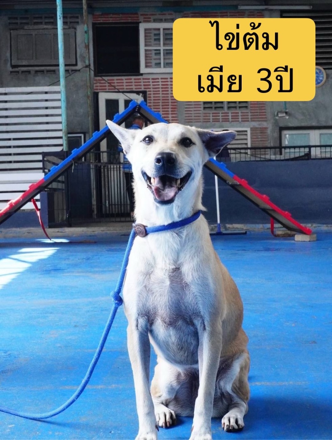 เก๋ - ชลลดา เมฆราตรี