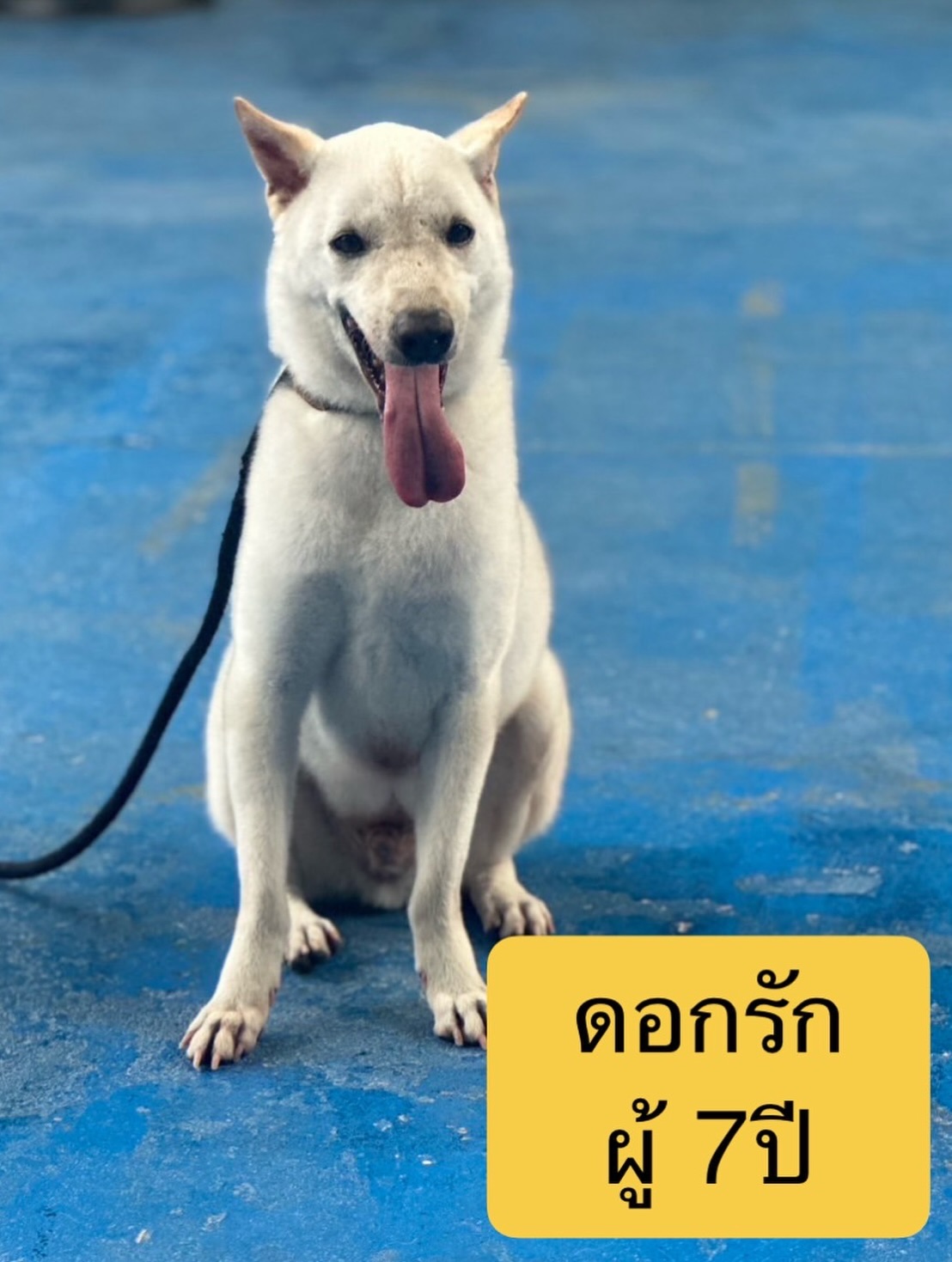 เก๋ - ชลลดา เมฆราตรี