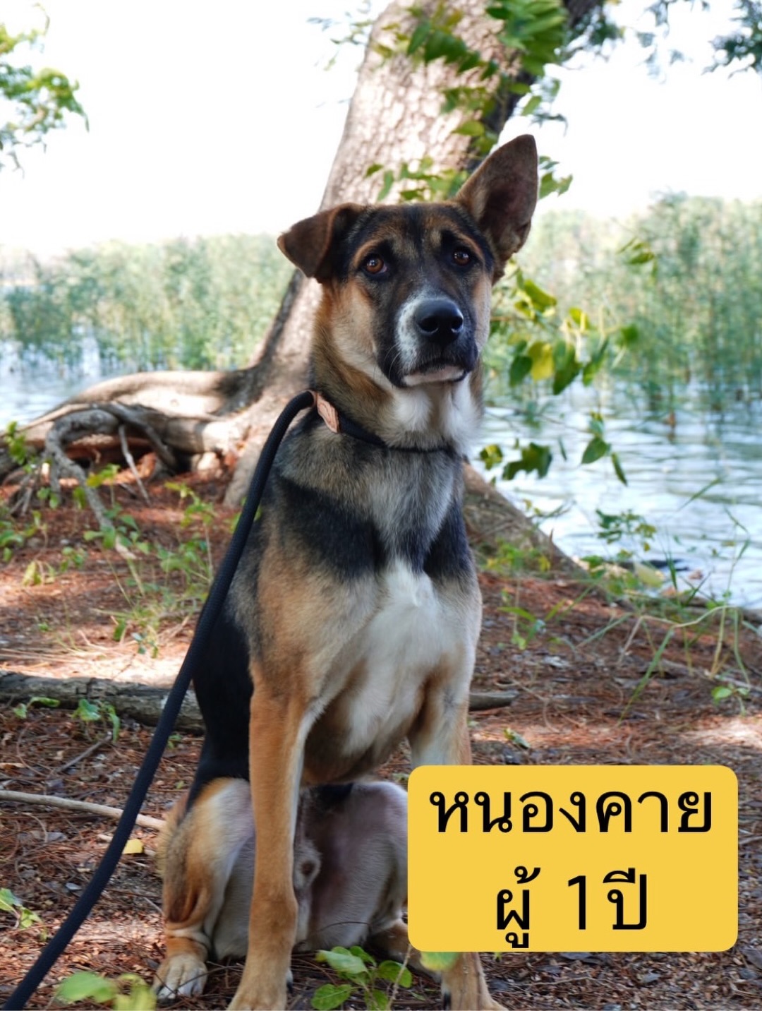 เก๋ - ชลลดา เมฆราตรี