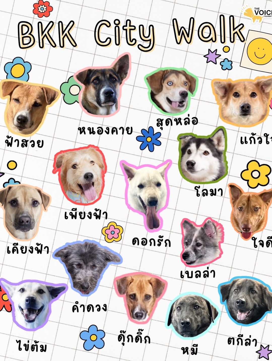 เก๋ - ชลลดา เมฆราตรี