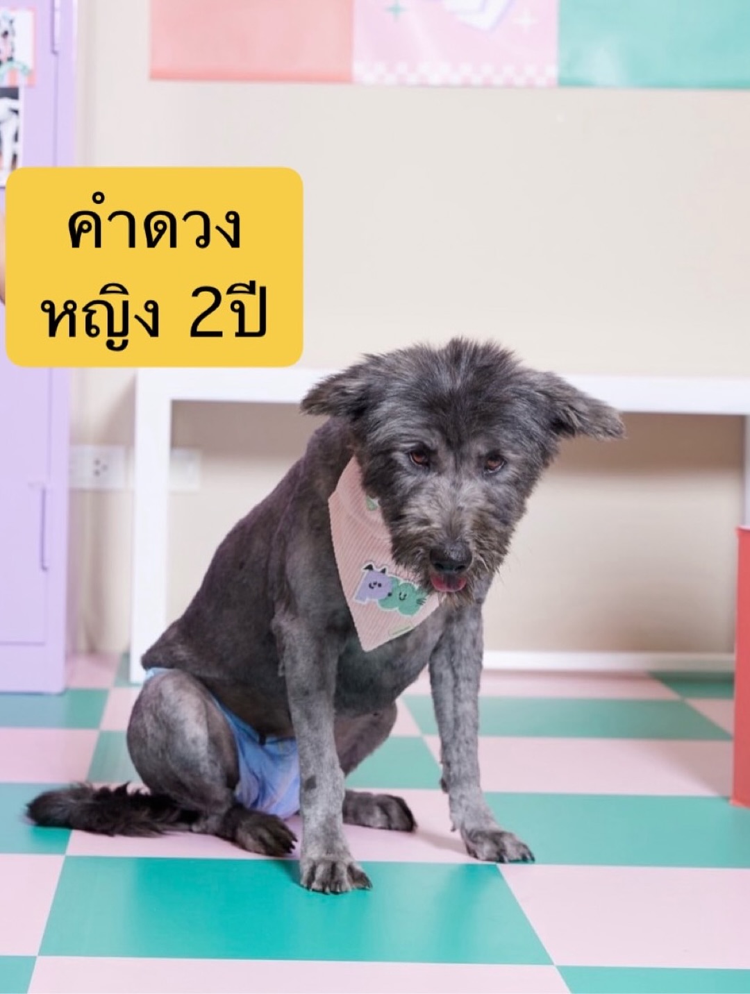 เก๋ - ชลลดา เมฆราตรี