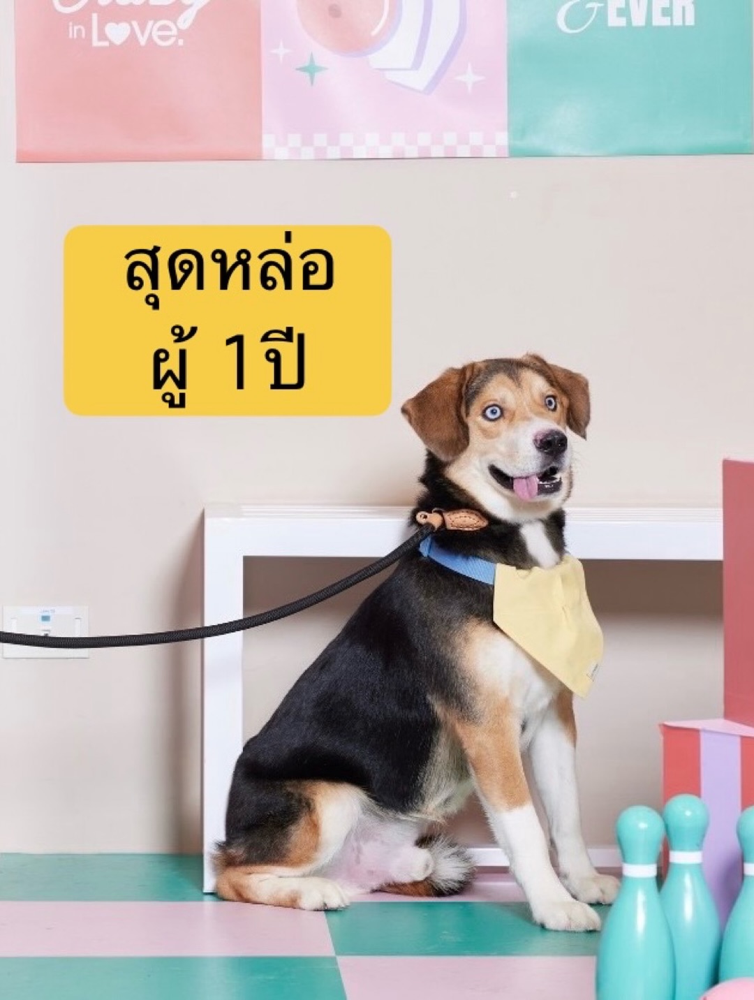 เก๋ - ชลลดา เมฆราตรี