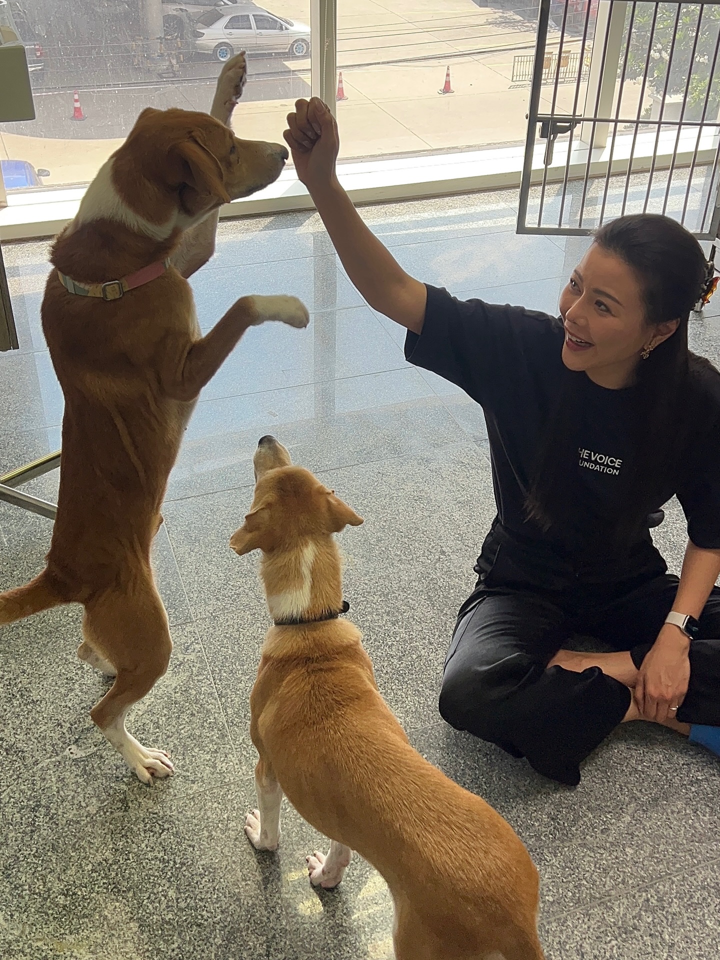 เก๋ - ชลลดา เมฆราตรี