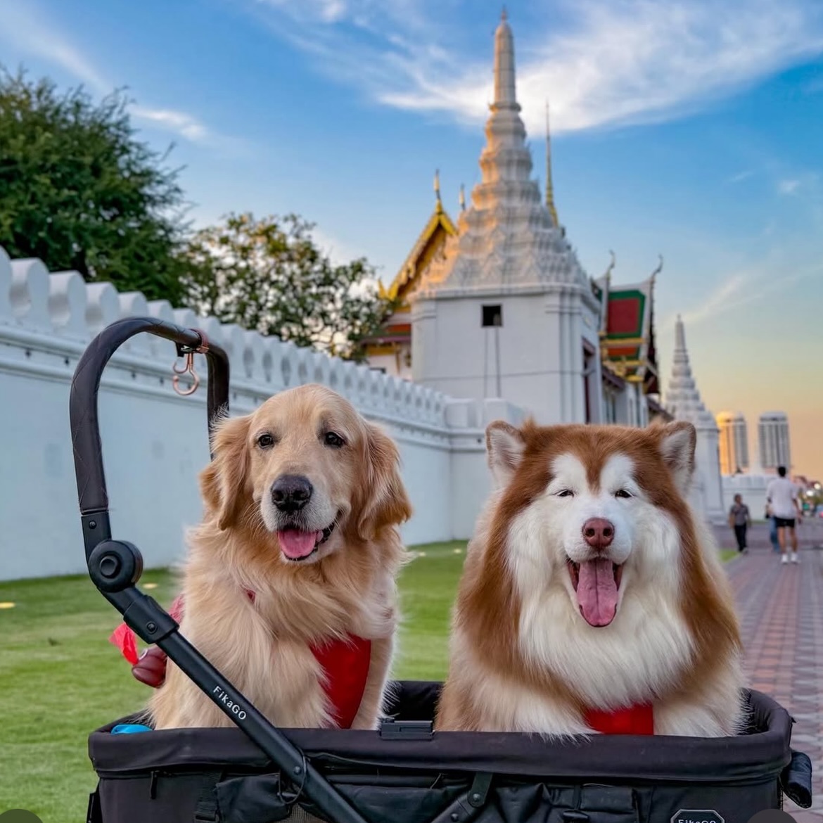 เก๋ - ชลลดา เมฆราตรี