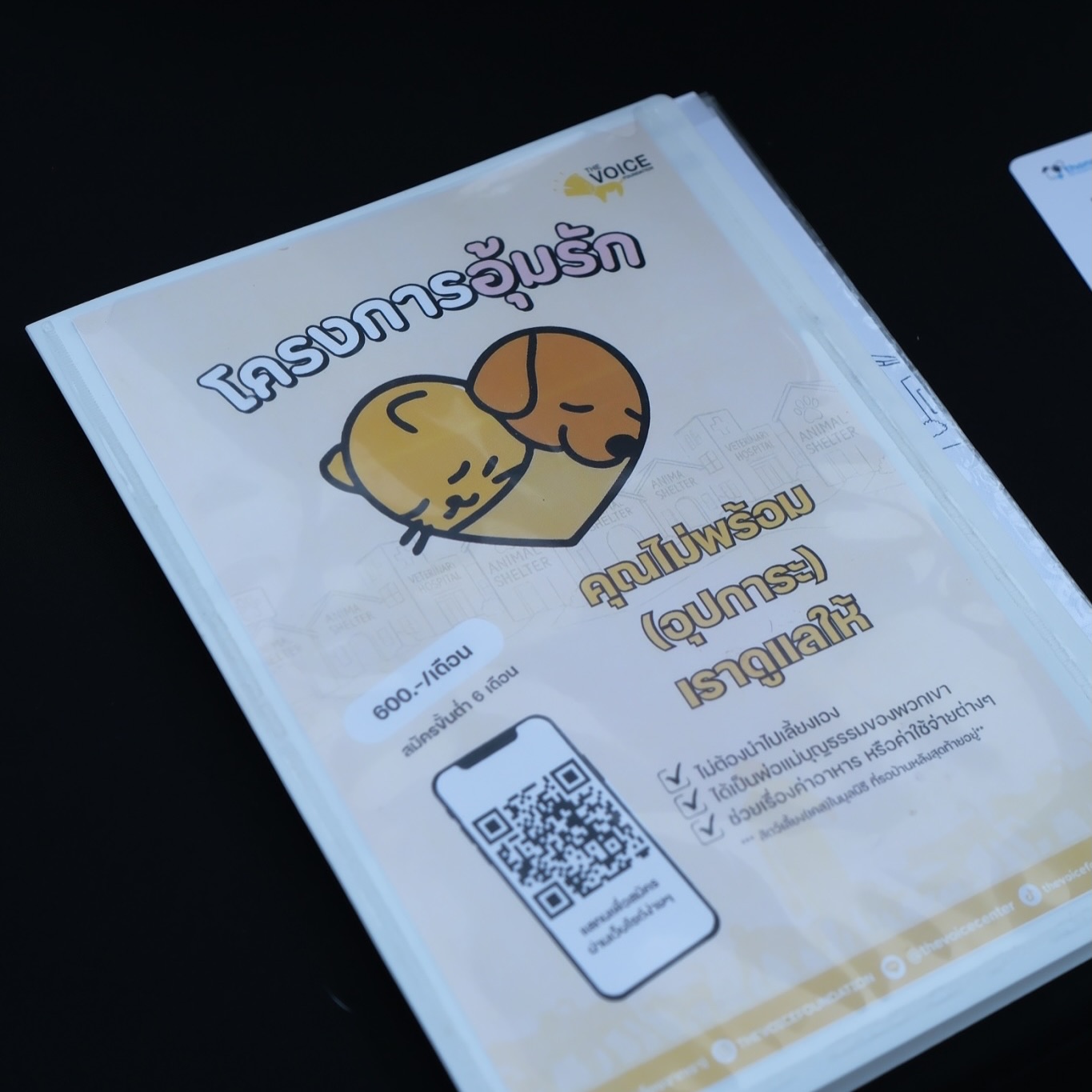 เก๋ - ชลลดา เมฆราตรี