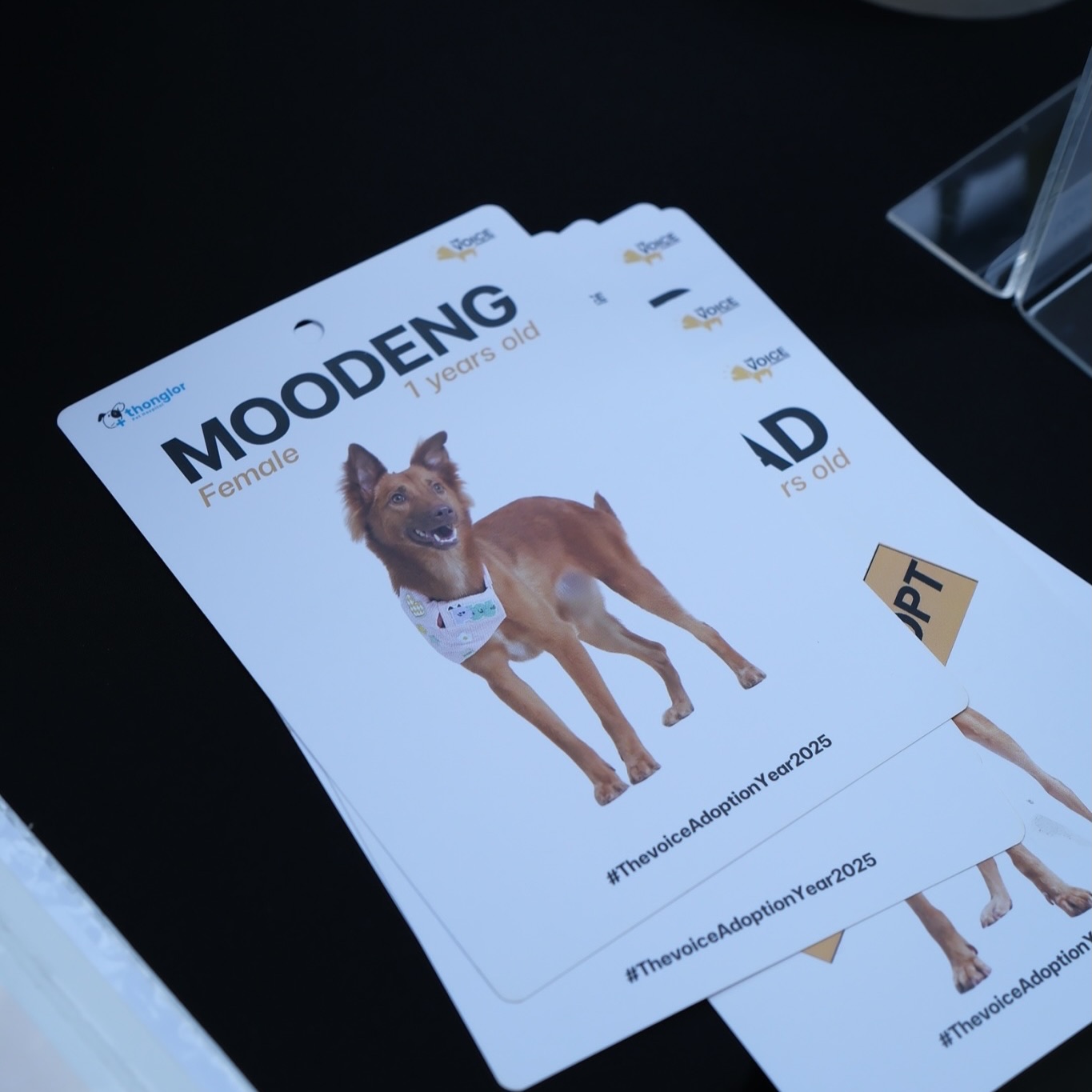 เก๋ - ชลลดา เมฆราตรี