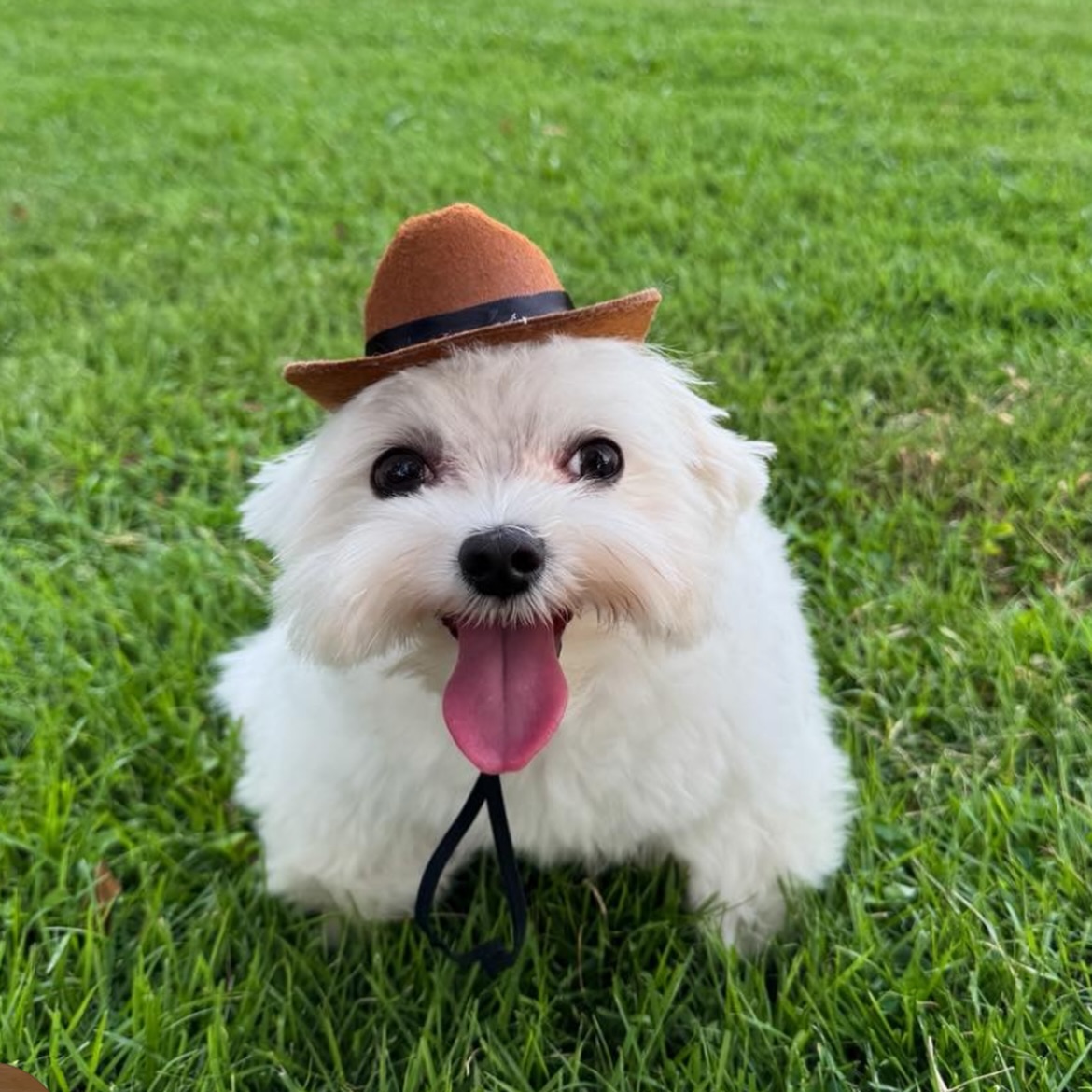 เก๋ - ชลลดา เมฆราตรี