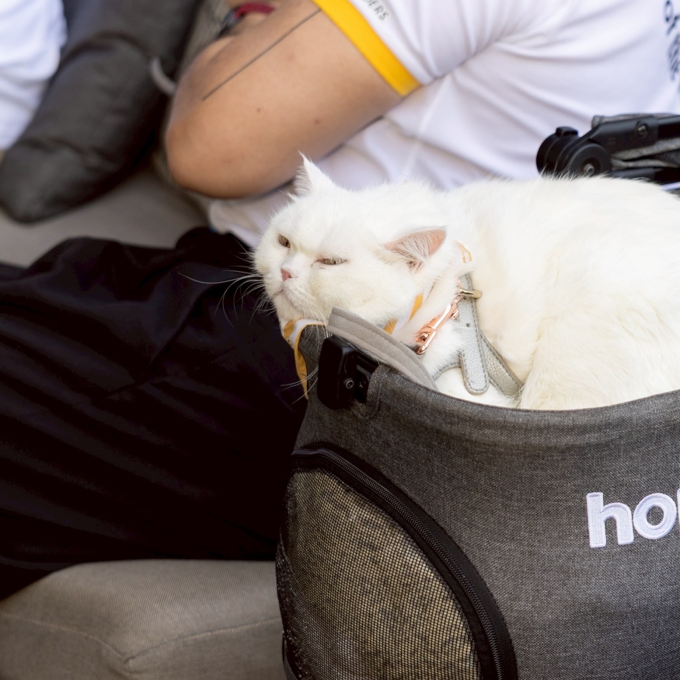 เก๋ - ชลลดา เมฆราตรี