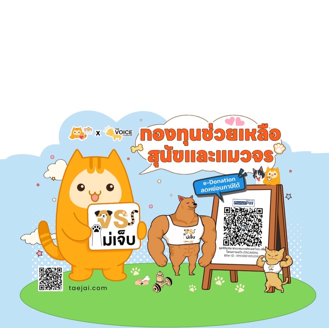 เก๋ - ชลลดา เมฆราตรี