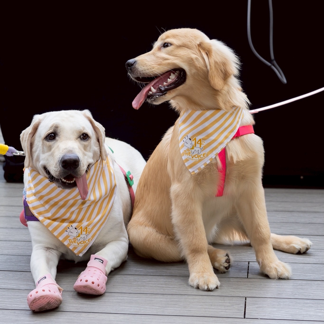 เก๋ - ชลลดา เมฆราตรี