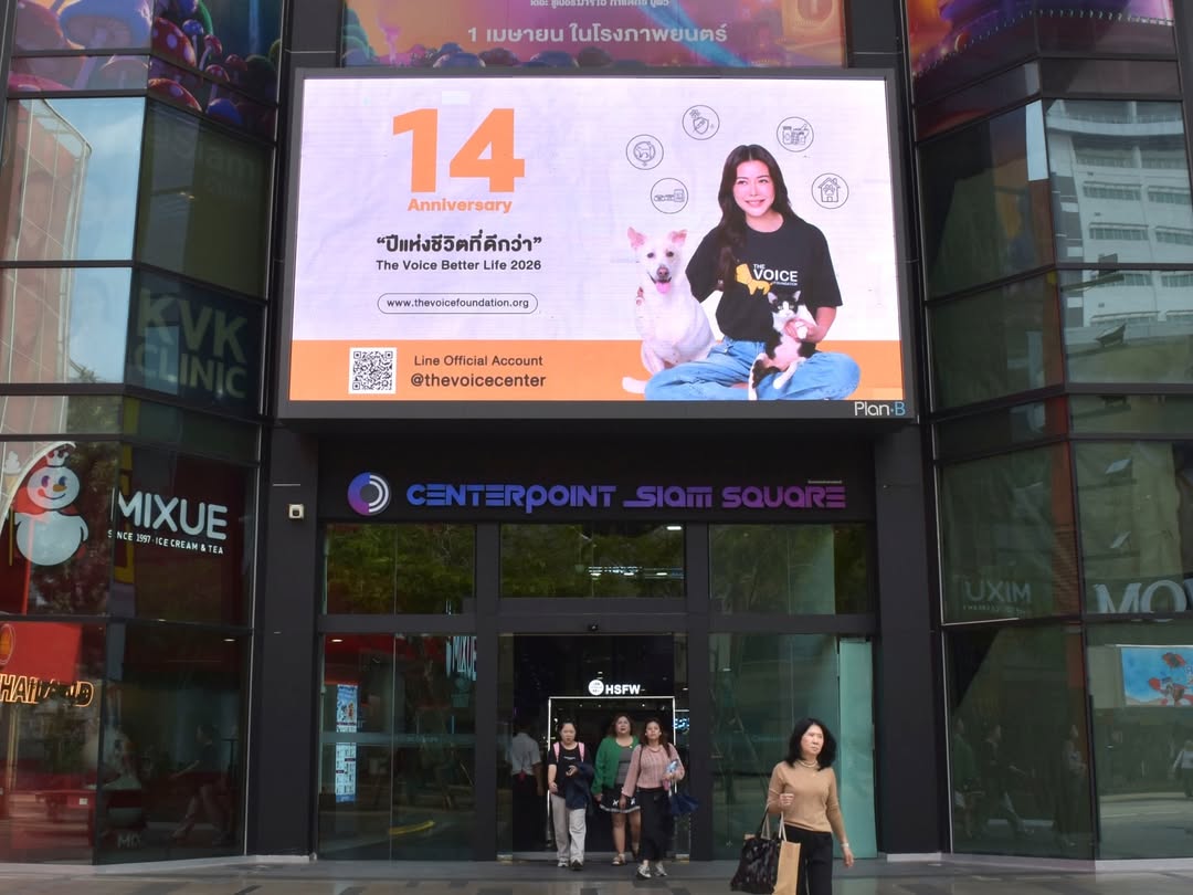 เก๋ - ชลลดา เมฆราตรี