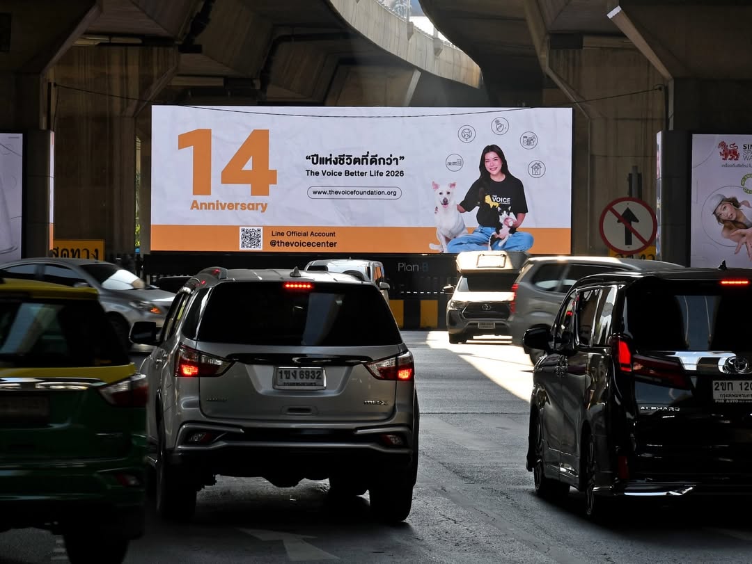 เก๋ - ชลลดา เมฆราตรี