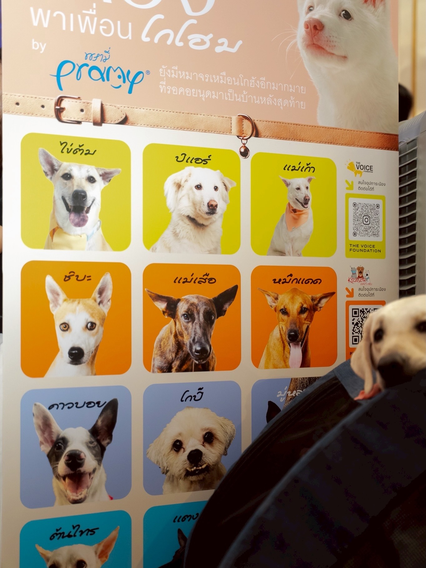 เก๋ - ชลลดา เมฆราตรี