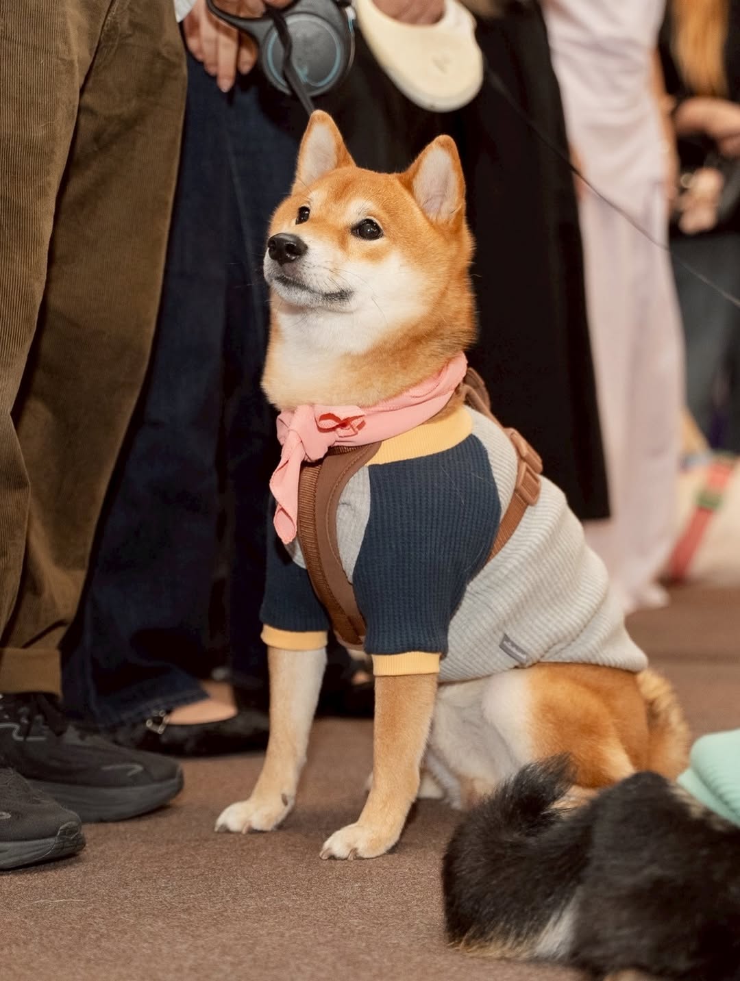 เก๋ - ชลลดา เมฆราตรี