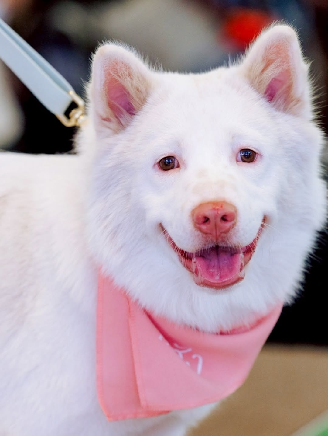 เก๋ - ชลลดา เมฆราตรี