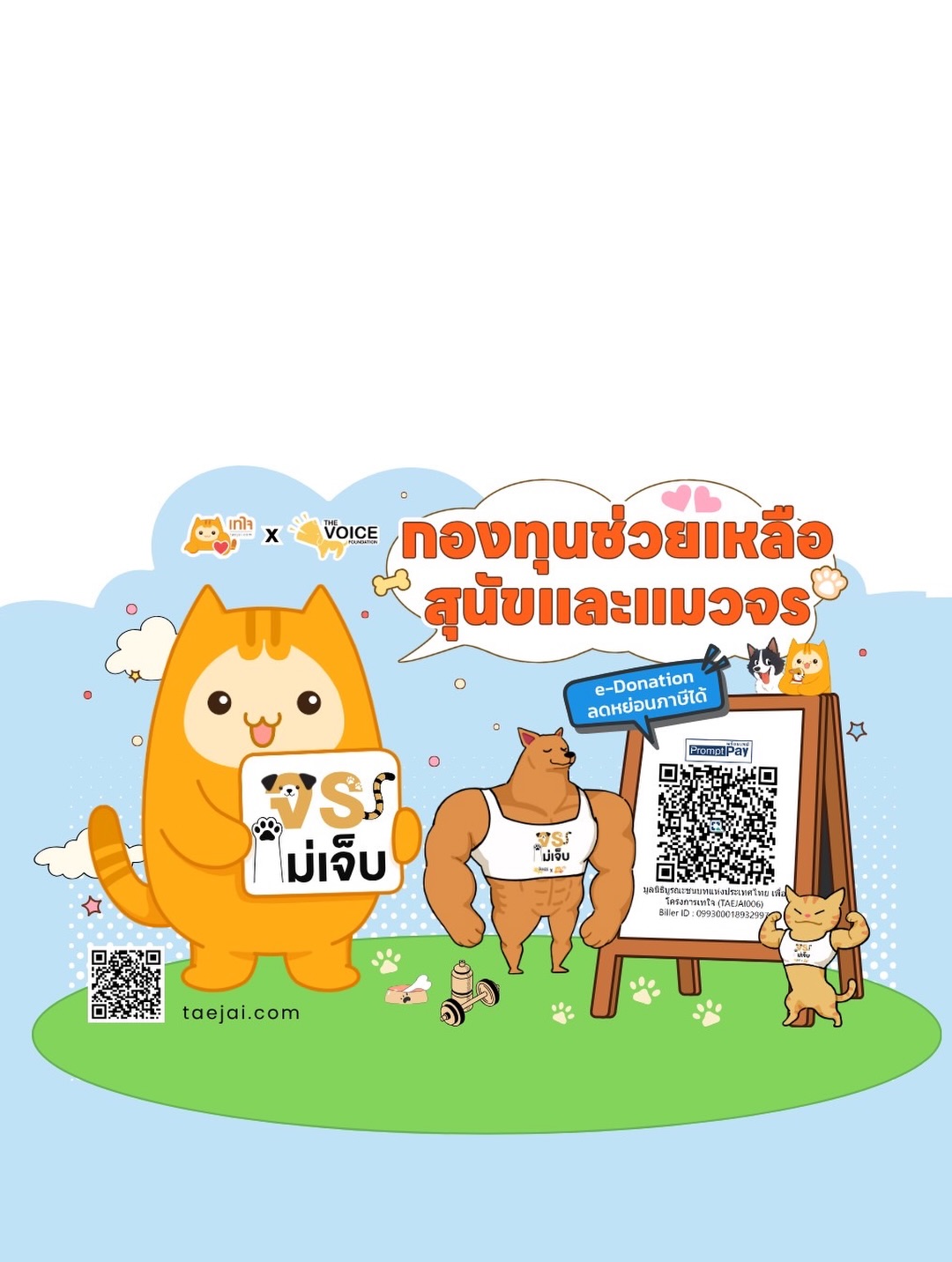 เก๋ - ชลลดา เมฆราตรี