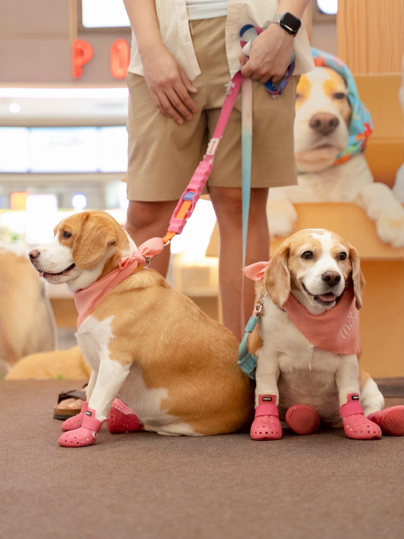 เก๋ - ชลลดา เมฆราตรี