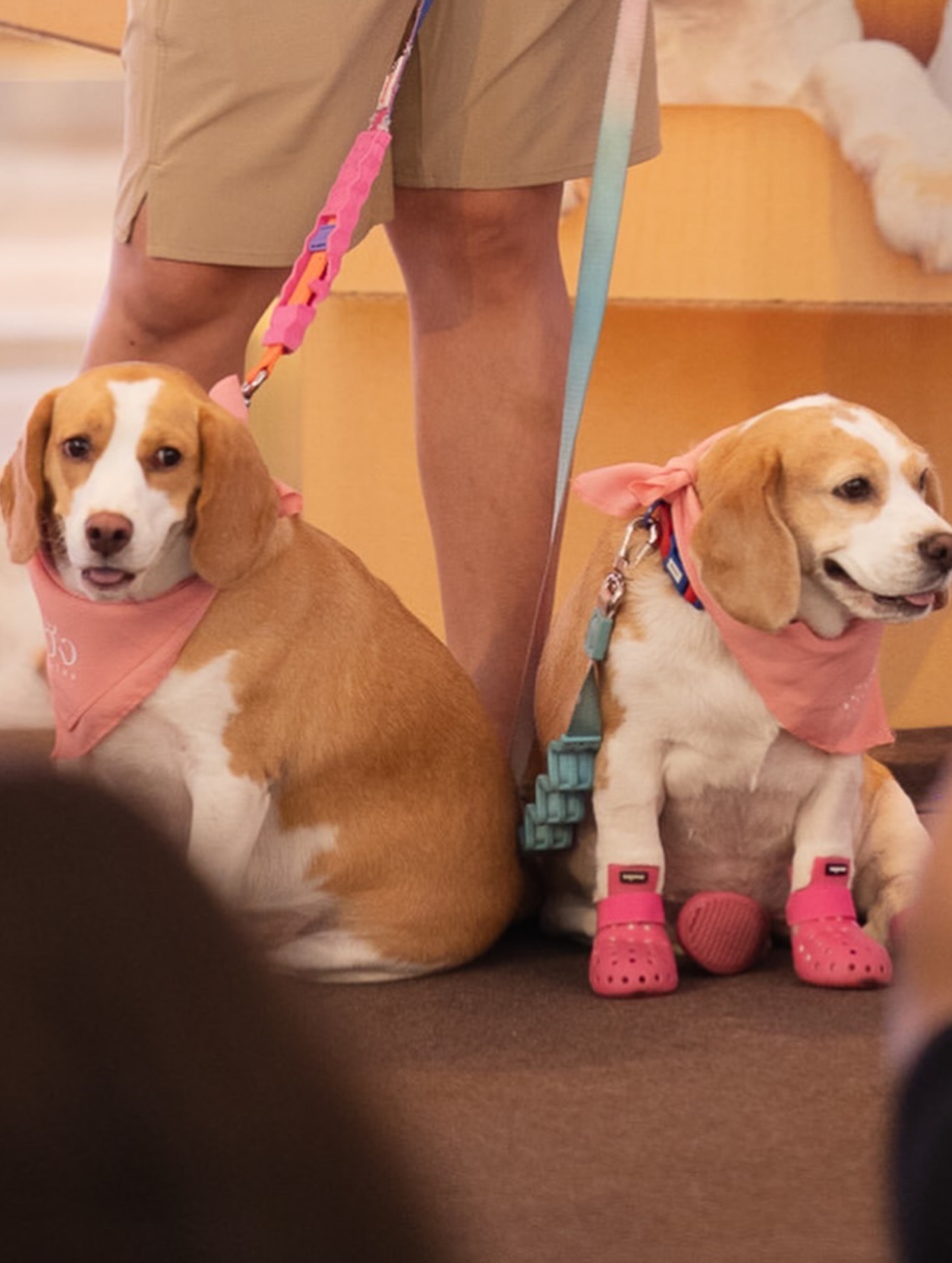 เก๋ - ชลลดา เมฆราตรี