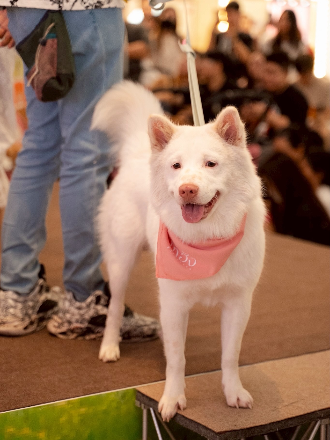 เก๋ - ชลลดา เมฆราตรี