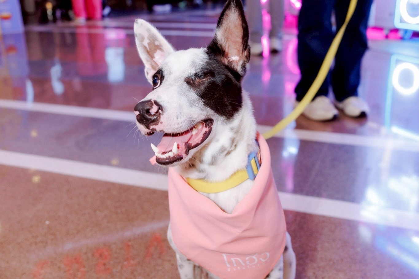 เก๋ - ชลลดา เมฆราตรี