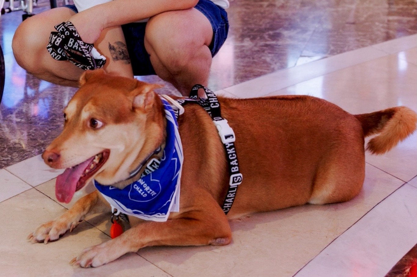 เก๋ - ชลลดา เมฆราตรี