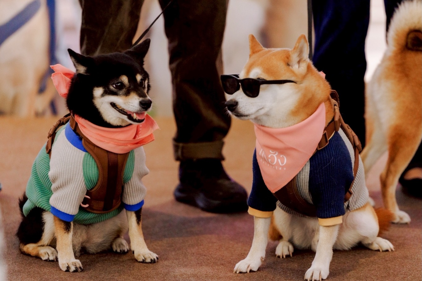 เก๋ - ชลลดา เมฆราตรี