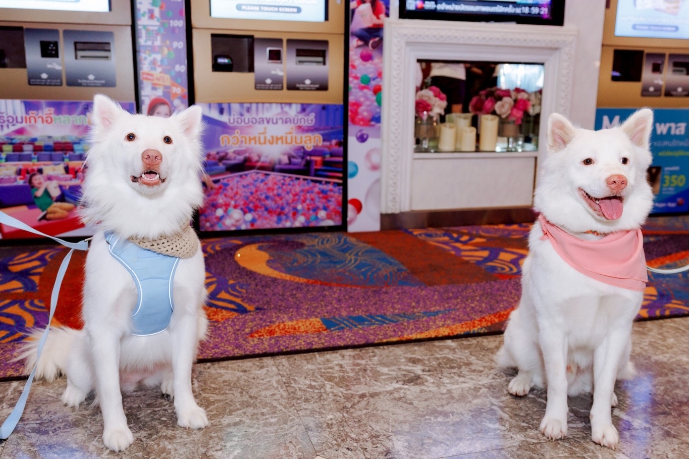 เก๋ - ชลลดา เมฆราตรี