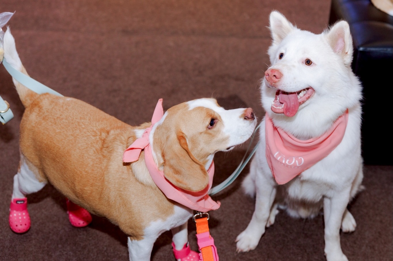 เก๋ - ชลลดา เมฆราตรี