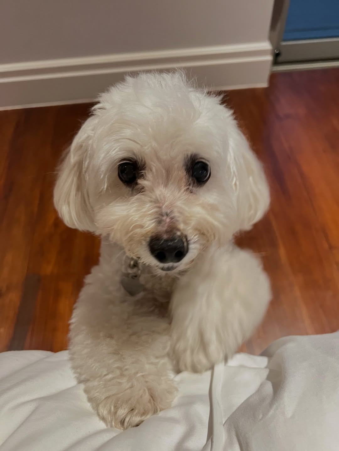 เก๋ - ชลลดา เมฆราตรี