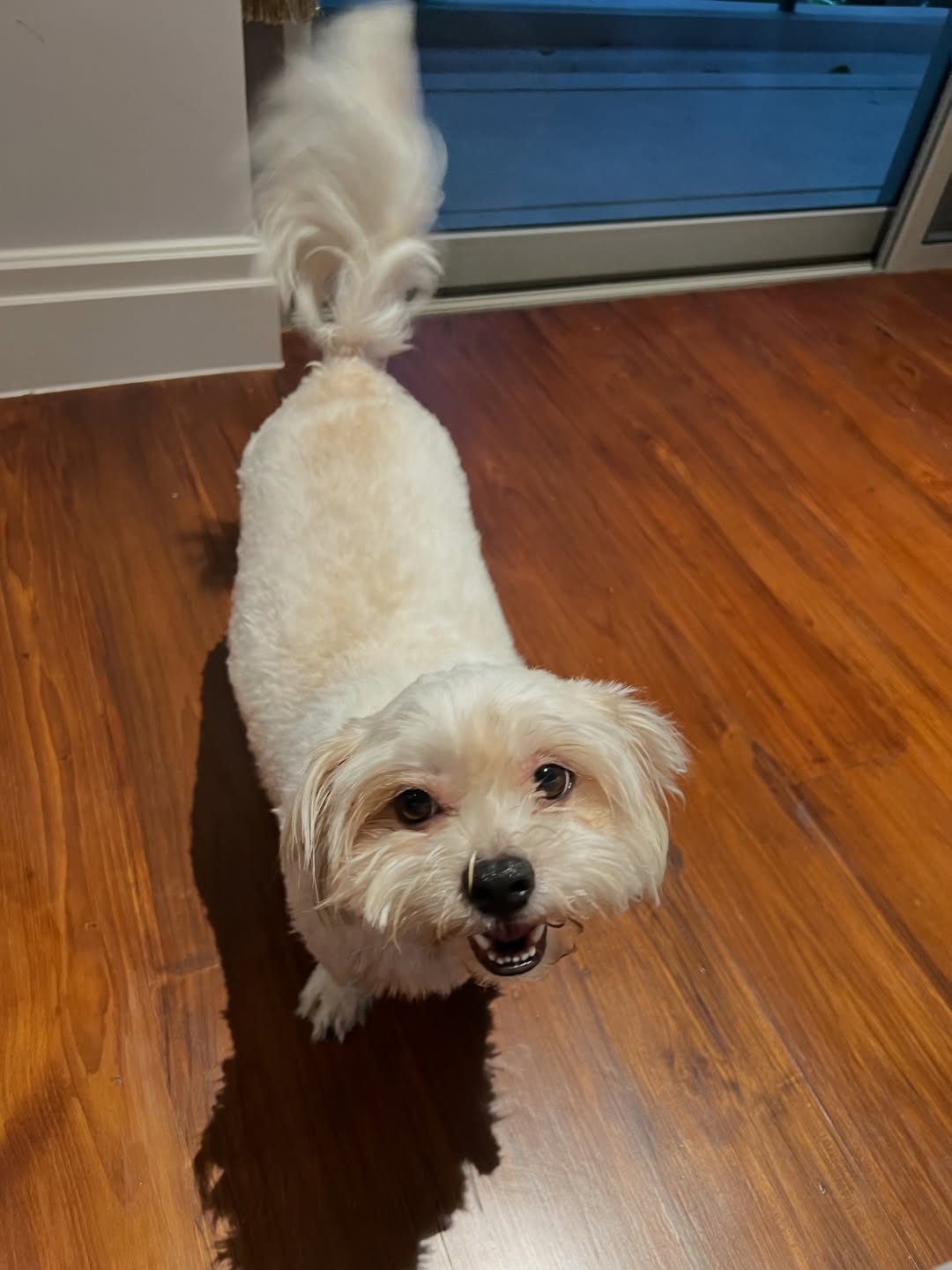 เก๋ - ชลลดา เมฆราตรี